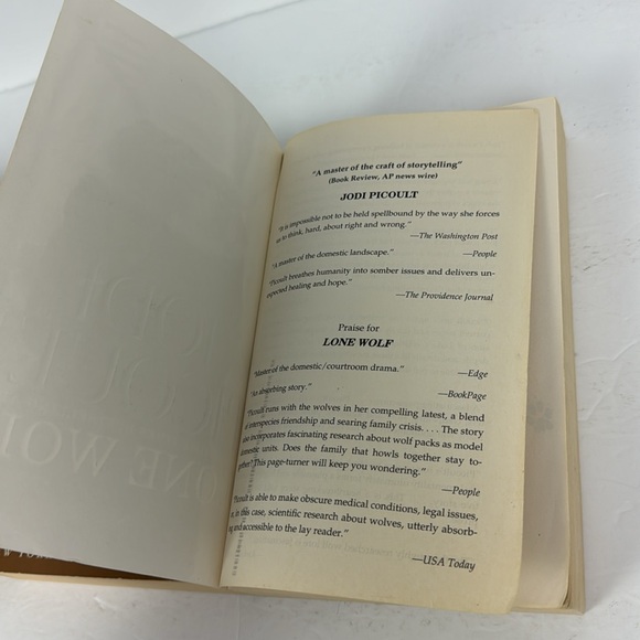 (3) Jodi Picoult Paper Trade Paperback Books Lone Wolf Second Glance Salem Falls - Picture 9 of 9